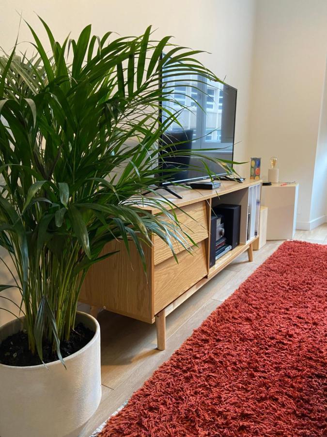 La Palmeraie - Appartement Classe 4 Etoiles - Hyper Centre Ville Κεμπέρ Εξωτερικό φωτογραφία